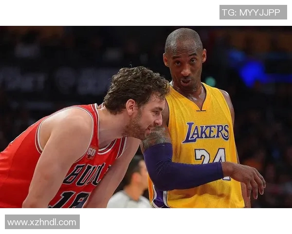 火箭与公牛季前赛直播精彩对决全程回顾与分析